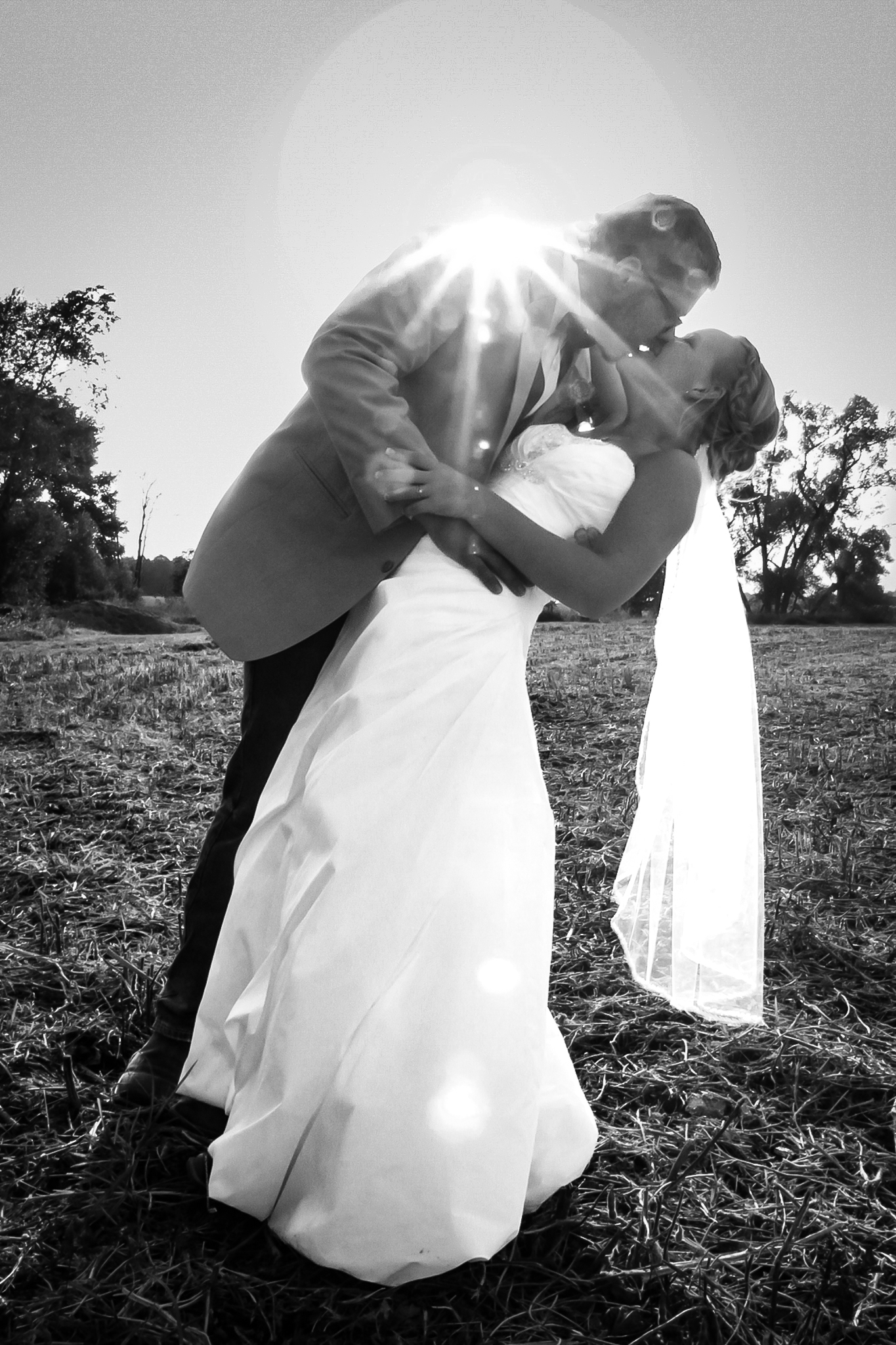 Groom dips bride for a kiss in a cornfield during sunset