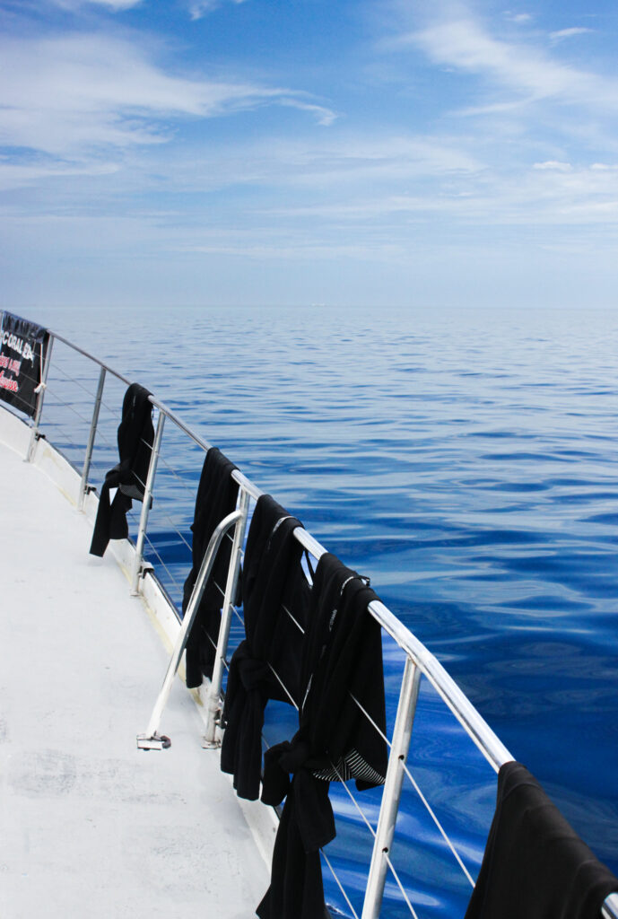 Wetsuits hanging on the side of a ship in the ocean at the Great Barrier Reef in Australia