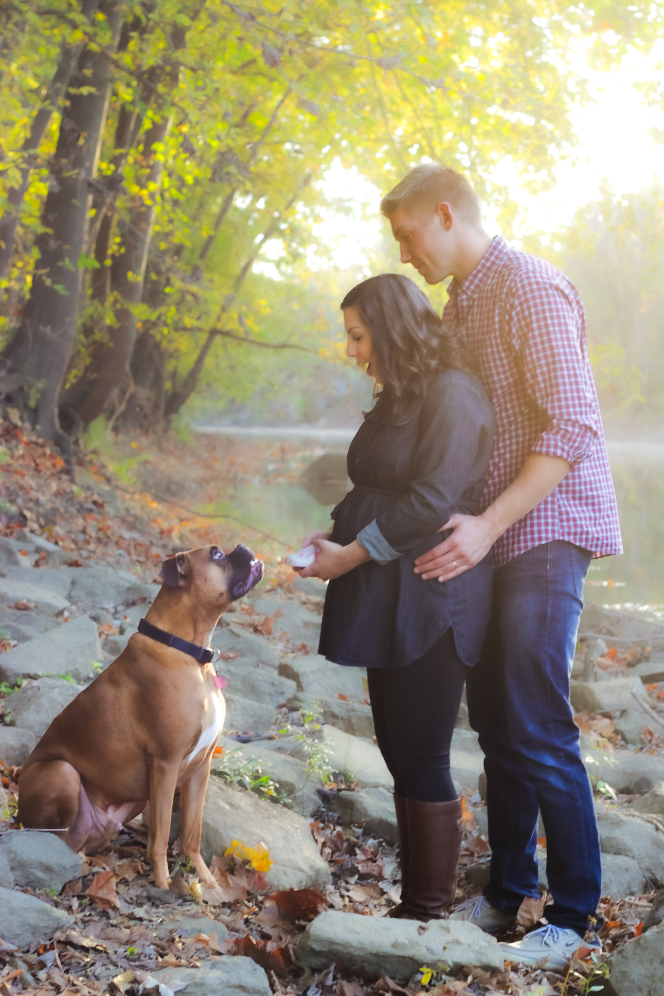 couple in maternity photo present baby shoes to boxer dog and dog looks up at them