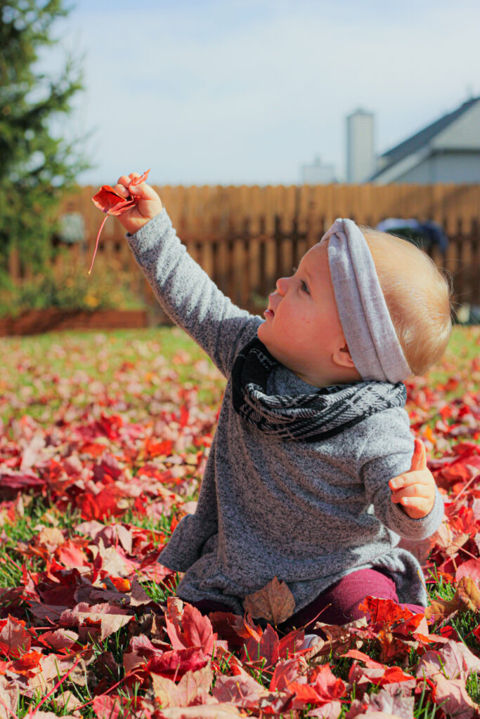 one year old baby sits in red leaves during autumn and holds a leaf in the air